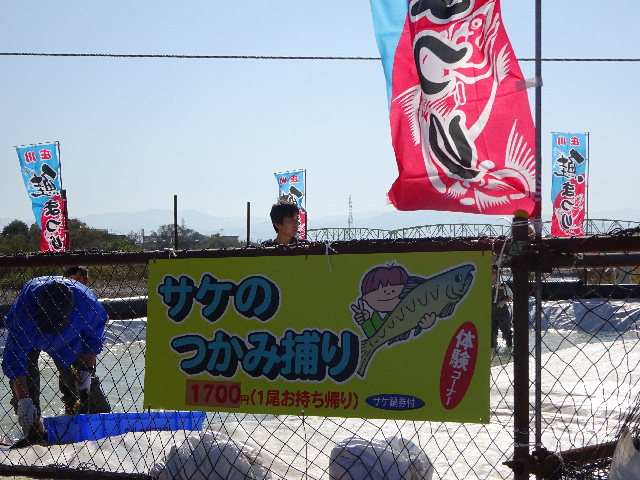 庄川鮭祭り2016