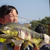 庄川鮭祭り2016！鮭ナベ美味かった！