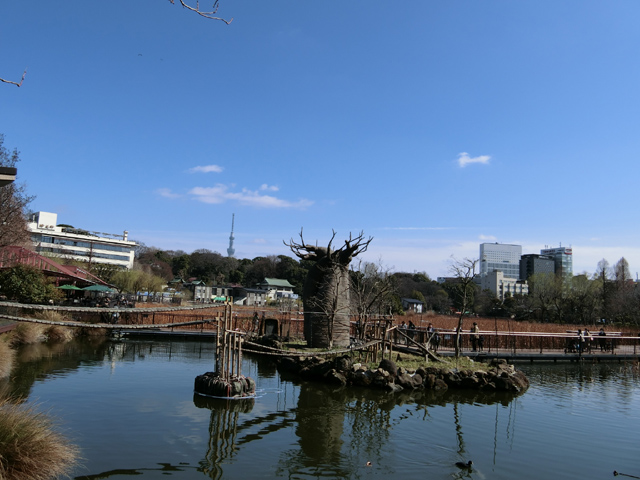 上野動物園パンダ
