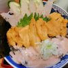 富山市 市場亭の三食丼を食べ20年前に北海道で食べたウニの美味しさを思い出した！