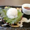ステーキガスト富山山室店 大根おろしと手ごねハンバーグ サラダバー ドリンクバー食べてきました！