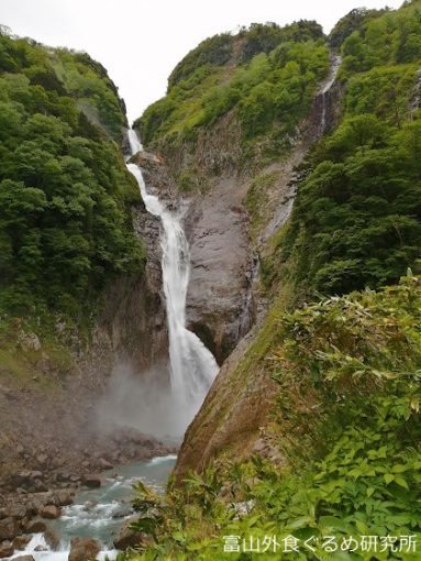 富山 観光 称名滝