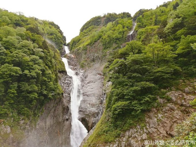 富山 観光 称名滝