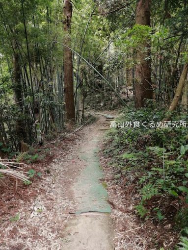 御皇城山皇祖皇太神宮 (オミジンヤマ)