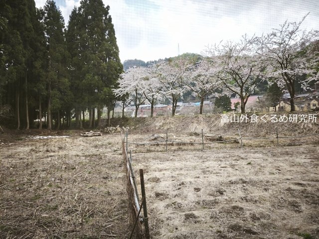 白山 はくれい荘