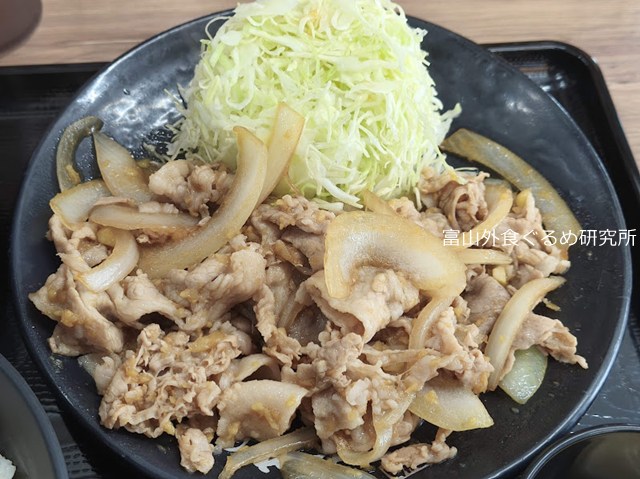 すた丼　生姜焼き定食