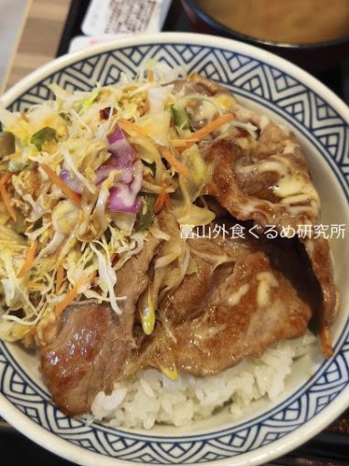 吉野家 生姜焼き定食大盛り