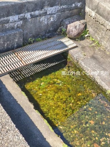全国名水百選、黒部川扇状地湧水群、生地まち歩き